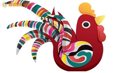 Xem bói tử vi cho người tuổi Dậu năm 2018 chi tiết