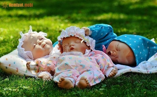 Tử vi ngày 26/10/2017 của 12 con giáp hôm nay