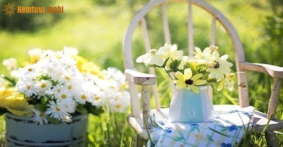 Bói tử vi ngày 27/10/2017 của 12 con giáp