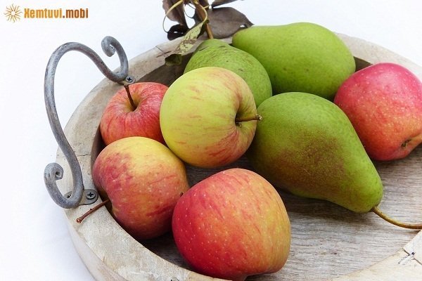 Xem tử vi 12 con giáp ngày 10/11/2017 thứ 6