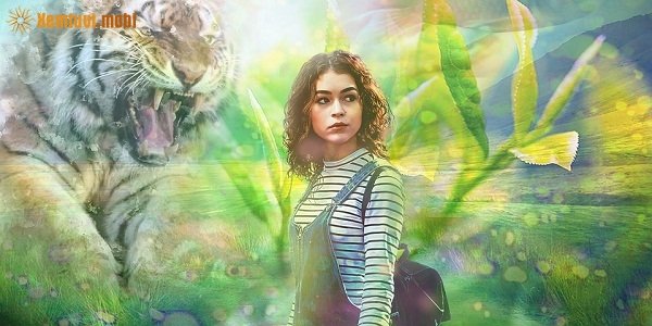 Xem tử vi 12 con giáp ngày 6/11/2017 thứ 2