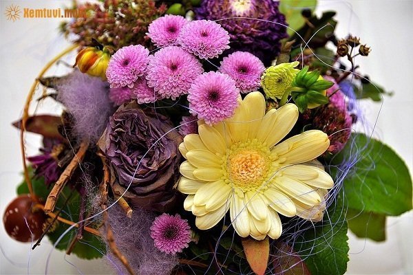 Xem tử vi 12 con giáp ngày 7/11/2017 thứ 3