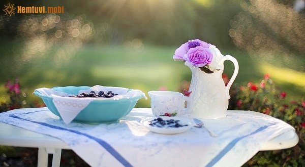 Xem tử vi ngày 8/11/2017 thứ 4