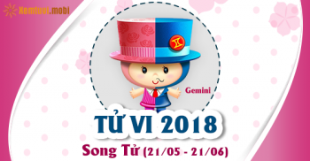 Xem bói tử vi năm 2018 cung hoàng đạo Song Tử Xem bói tử vi năm 2018 cung hoàng đạo Song Tử