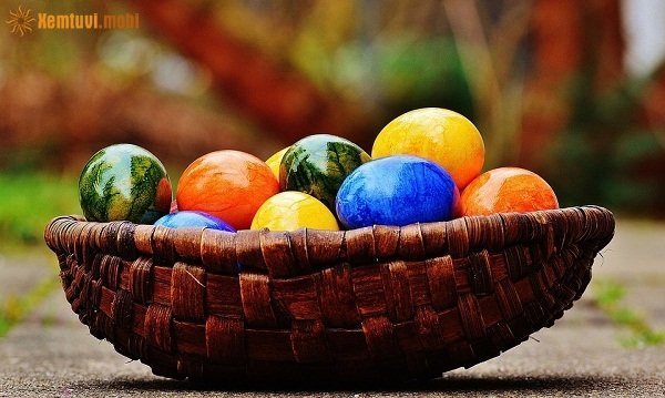 Xem tử vi ngày 23/11/2017 thứ 5