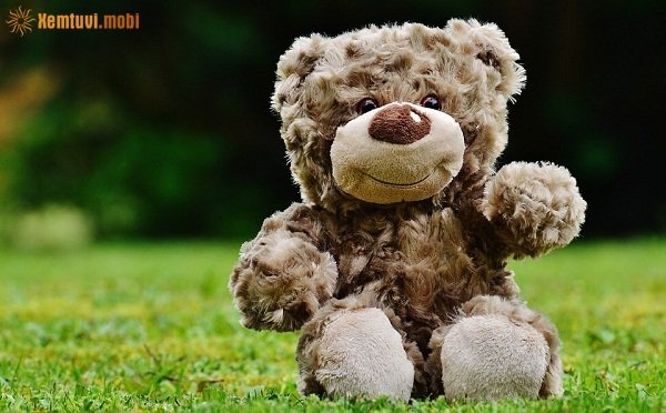 Tử vi 12 con giáp ngày 3/11/2017 thứ 6