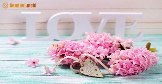 Bói tử vi ngày 19/11/2017 chủ nhật của 12 con giáp