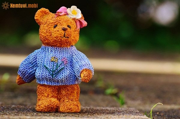 Xem tử vi ngày 27/11/2017 thứ 2