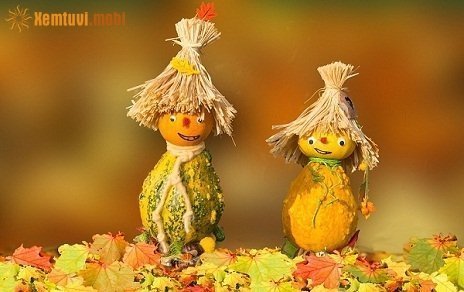 Tử vi 12 con giáp ngày 7/11/2017 thứ 3