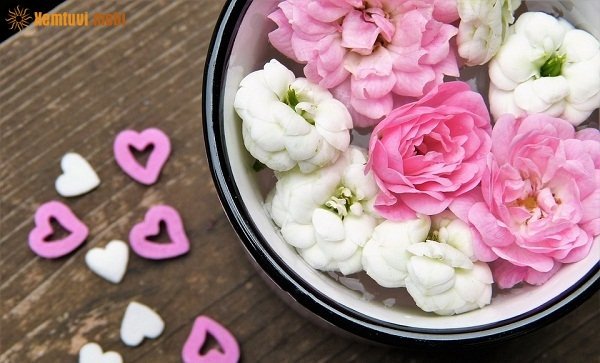 Tử vi 12 con giáp ngày 2/11/2017 thứ 5