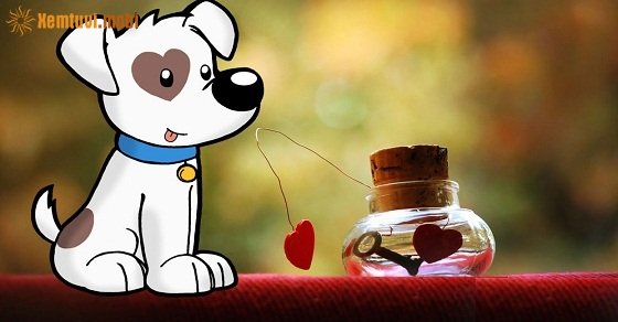 Xem bói tử vi cho người tuổi Tuất năm 2018 chi tiết