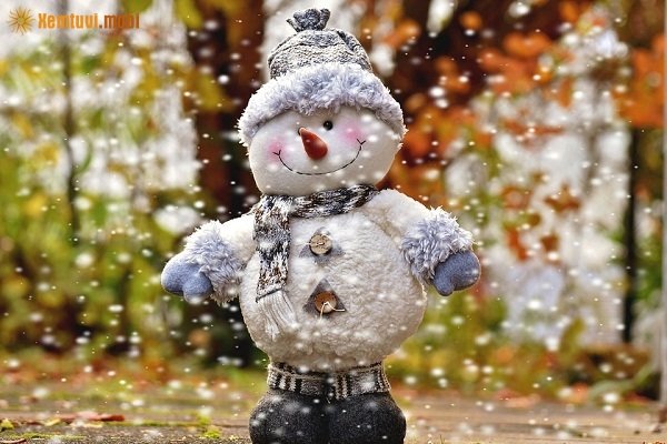 Xem tử vi 12 con giáp ngày 27/11/2017 thứ 2