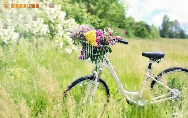 Xem tử vi ngày 30/11/2017 thứ 5