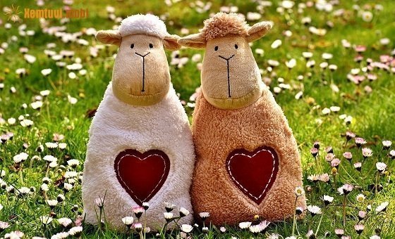 Xem bói tử vi ngày 1/12/2017