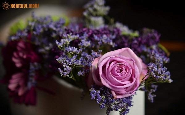 Tử vi 12 con giáp ngày 30/11/2017 thứ 5