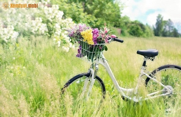 Xem tử vi 12 con giáp ngày 25/11/2017 thứ 7