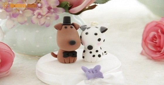 Xem tử vi 12 con giáp ngày 11/12/2017 thứ 2