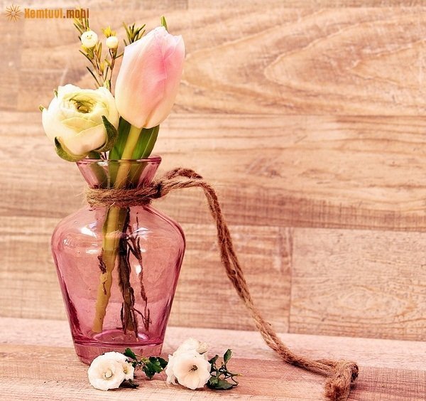 Tử vi 12 con giáp ngày 8/12/2017 thứ 6