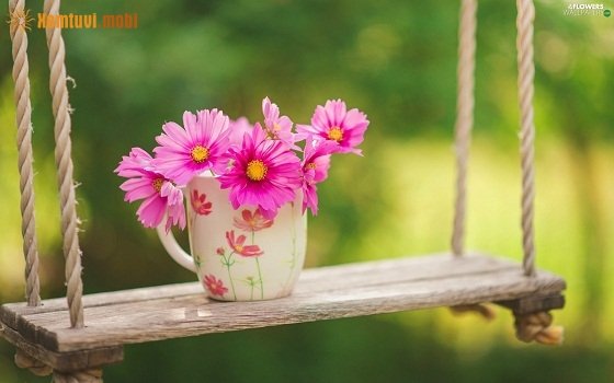 Tử vi 12 con giáp ngày 16/12/2017 thứ 7