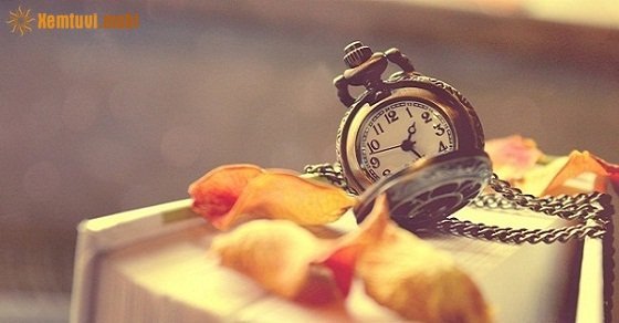 Xem tử vi 12 con giáp ngày 29/12/2017 thứ 6