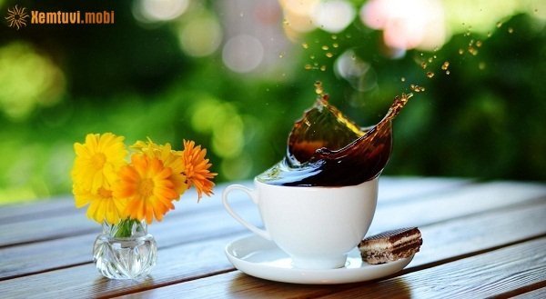 Xem tử vi ngày 19/12/2017 thứ 2