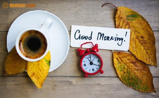 Tử vi 12 con giáp ngày 5/12/2017 thứ 3