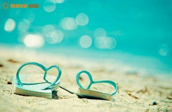  Xem tử vi ngày 15/12/2017 thứ 6