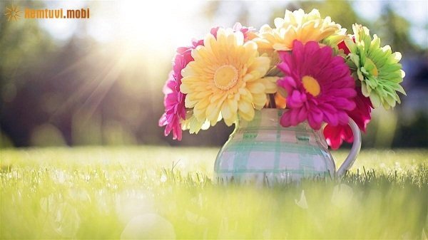 Xem tử vi 12 con giáp ngày 18/12/2017 thứ 2