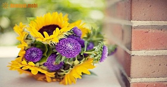 Xem tử vi 12 con giáp ngày 23/12/2017 thứ 7