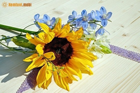 Xem tử vi ngày 24/12/2017 chủ nhật