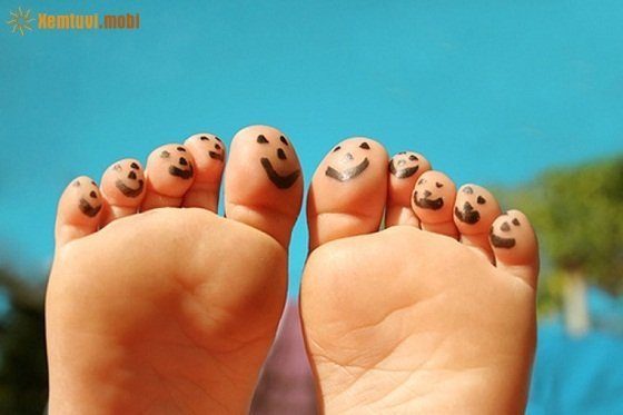  Tử vi 12 con giáp ngày 15/12/2017 thứ 6