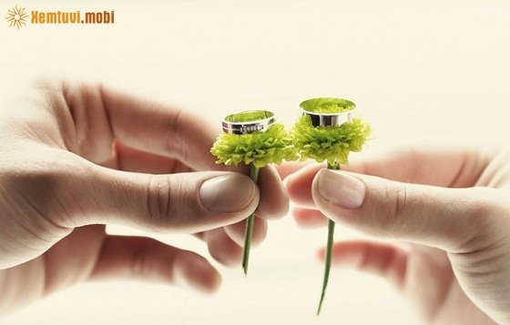 Xem tử vi 12 con giáp ngày 28/12/2017 thứ 5