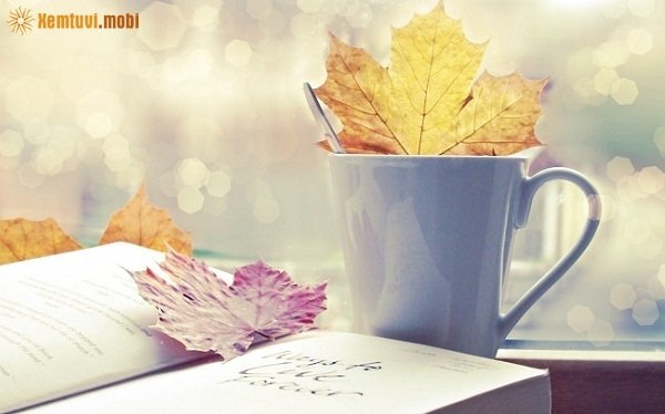 Tử vi 12 con giáp ngày 30/12/2017 thứ 7