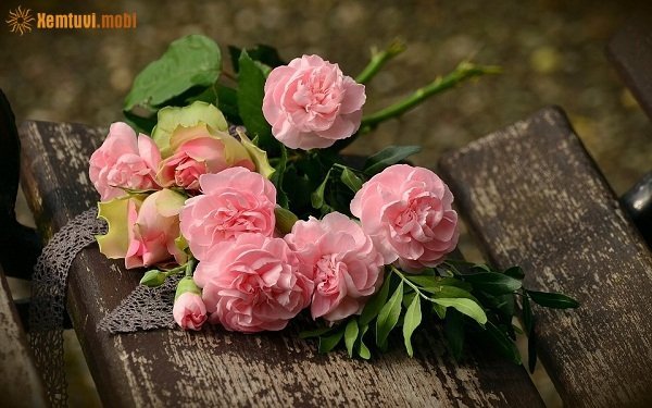 Xem tử vi ngày 25/12/2017 thứ 2