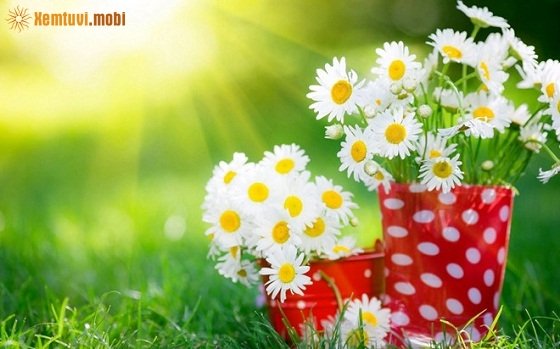 Xem tử vi 12 con giáp ngày 26/12/2017 thứ 3