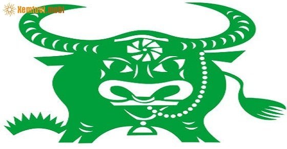 Xem vận hạn tuổi Ất Sửu nữ mạng năm 2017