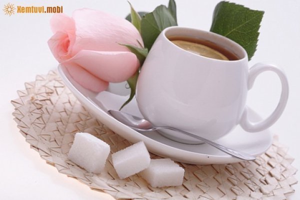 Xem tử vi ngày 22/1/2018 thứ 2