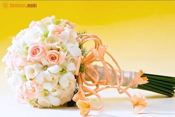 Xem tử vi 12 con giáp ngày 14/1/2018 chủ nhật