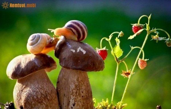 Tử vi 12 con giáp ngày 15/1/2018 thứ 2