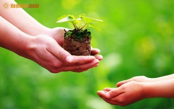 Xem tử vi ngày 7/1/2018 chủ nhật Xem tử vi ngày 7/1/2018 chủ nhật