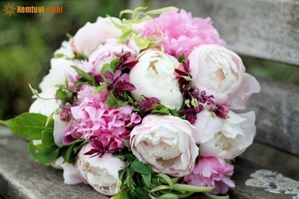 Xem tử vi ngày 19/1/2018 thứ 6