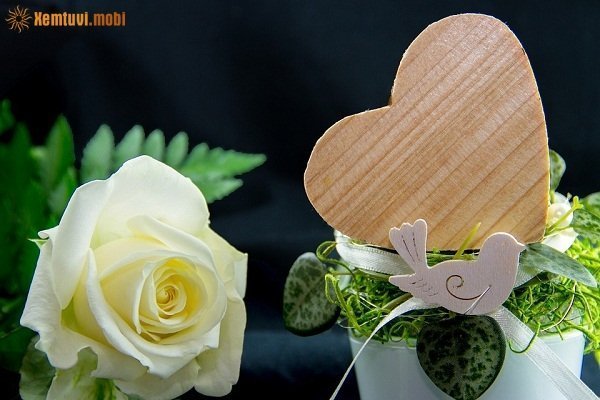 Xem tử vi ngày 23/1/2018 thứ 3