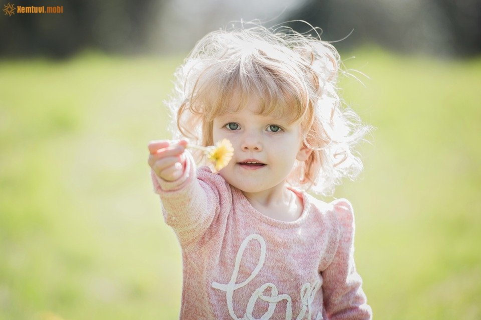 Xem tử vi 12 con giáp ngày 28/1/2018 chủ nhật Xem tử vi 12 con giáp ngày 28/1/2018 chủ nhật