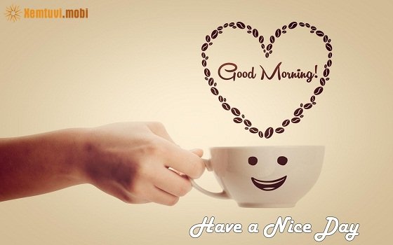 Xem tử vi 12 con giáp ngày 7/1/2018 chủ nhật Xem tử vi 12 con giáp ngày 7/1/2018 chủ nhật