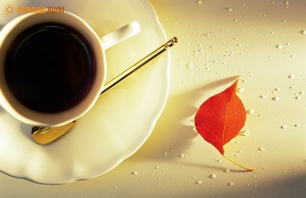 Xem tử vi 12 con giáp ngày 8/1/2018 thứ 2 Xem tử vi 12 con giáp ngày 8/1/2018 thứ 2