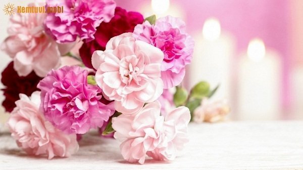 Xem tử vi ngày 21/1/2018 chủ nhật