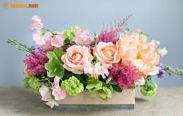  Tử vi 12 con giáp ngày 14/2/2018 thứ 4