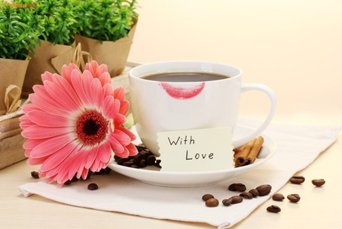 Xem tử vi ngày 21/2/2018 thứ 4