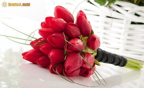  Xem tử vi ngày 11/2/2018 chủ nhật