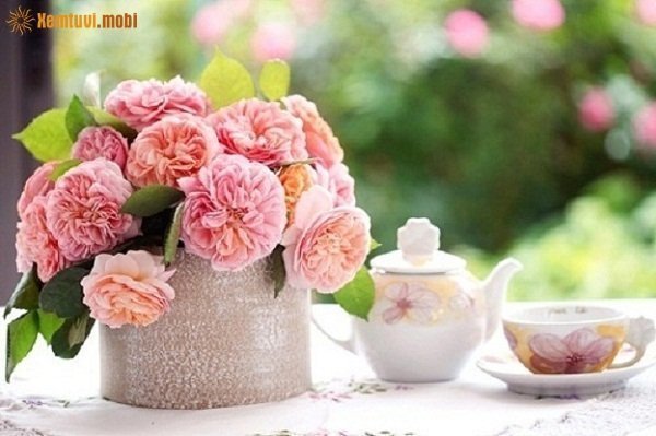 Xem tử vi ngày 15/2/2018 thứ 5